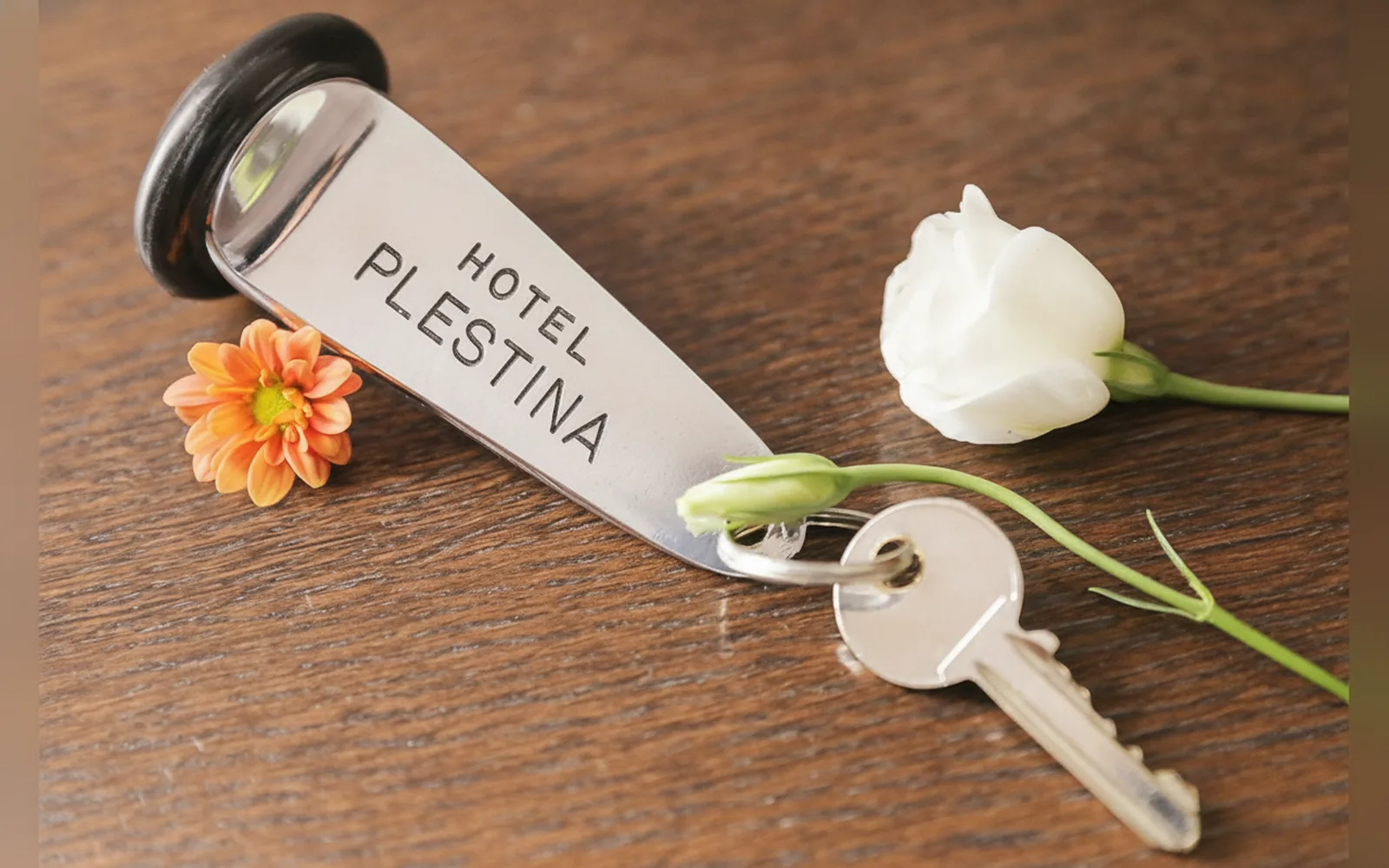 Hotel Plestina, struttura a Colfiorito (Umbria) (foto 4)
